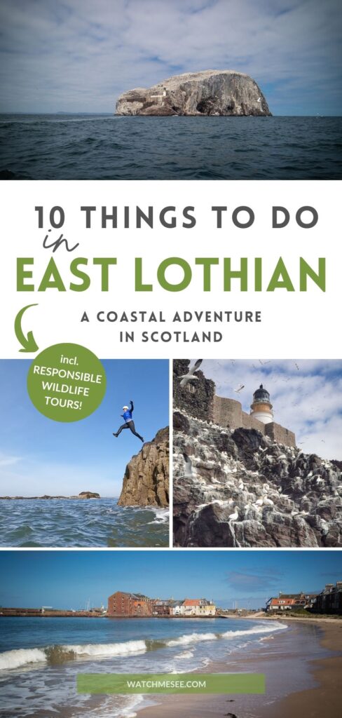 Plan a wild escape to North Berwick and Dunbar with this guide to adventurous things to do in East Lothian.
