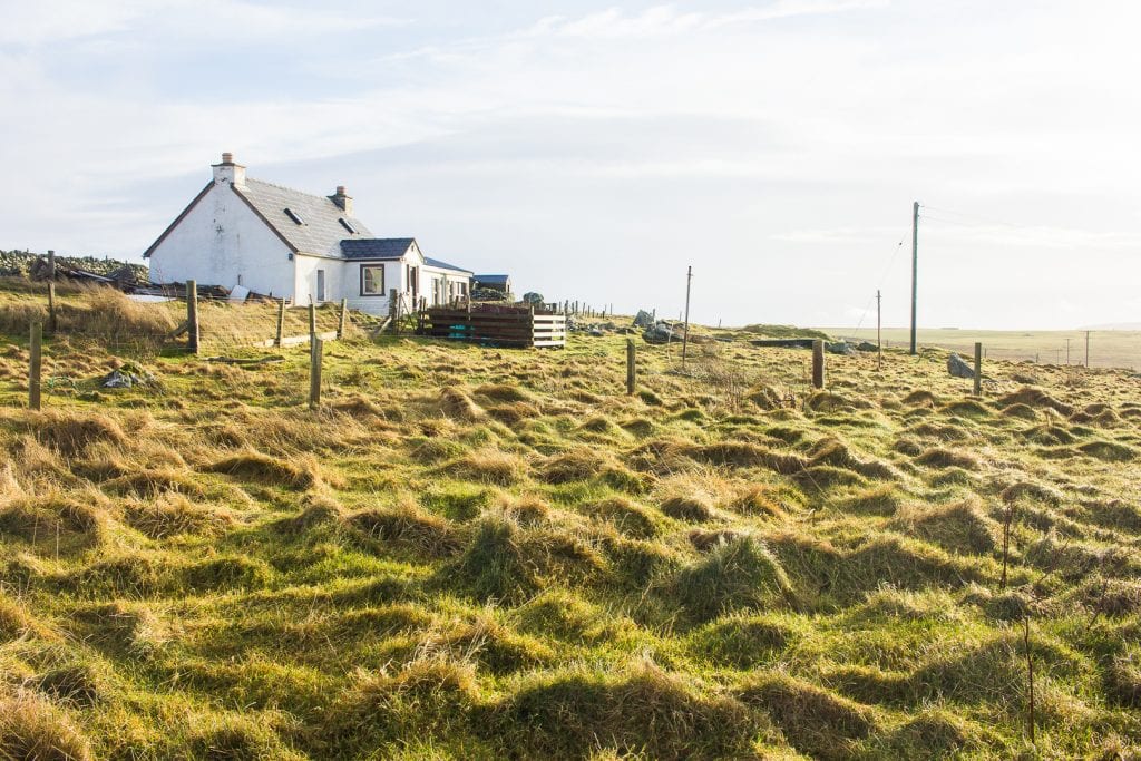 A white farm house on Shetland