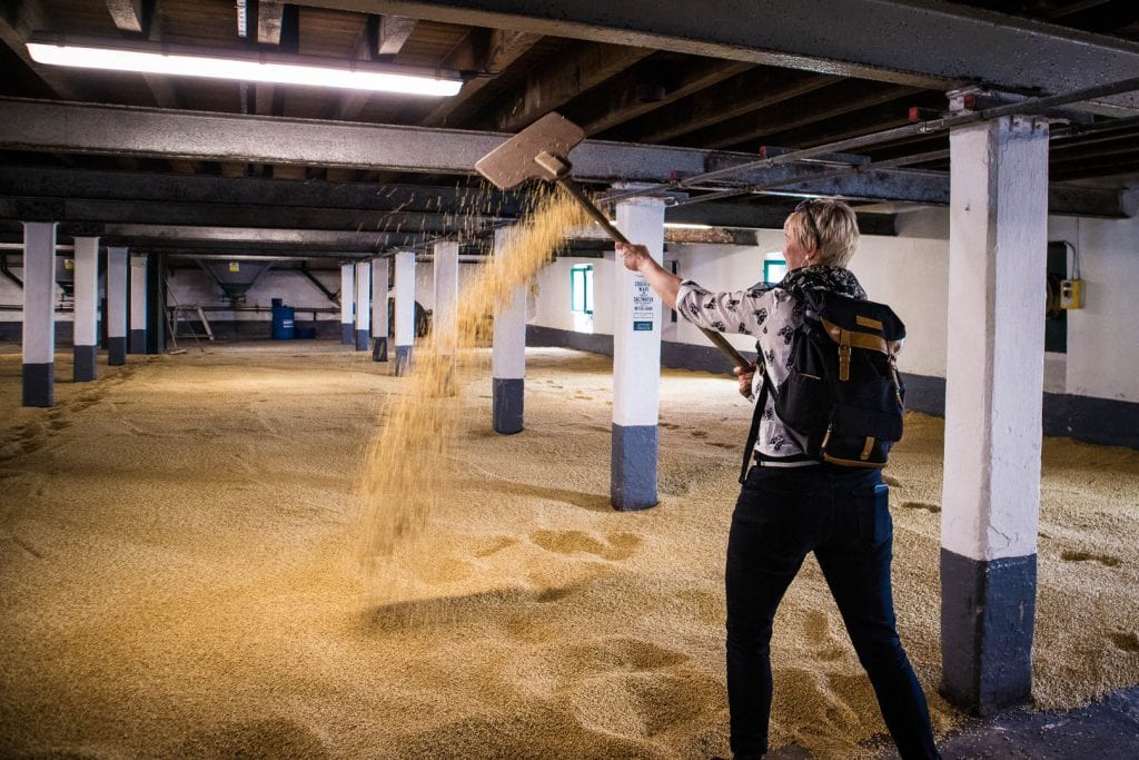 A woman turning barley on a malting floor with a wooden shovel.