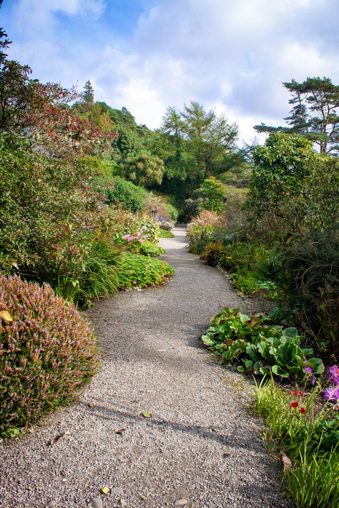 Flowers at Arduaine Garden
