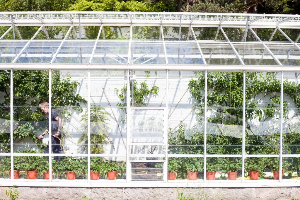 Glasshouse in the castle gardens at Balmoral Castle.