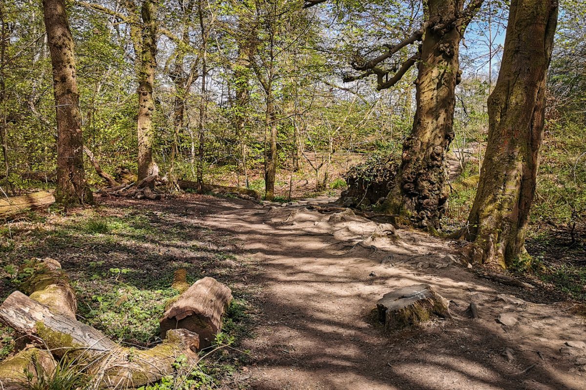 Exploring Dams to Darnley Country Park in Glasgow - Watch Me See