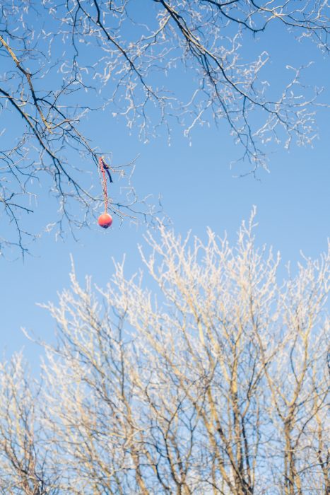 Easy Glasgow Walks: Beautiful Parks in Glasgow in Winter | Watch Me See | Winter is a great time to visit Glasgow and explore some of its easy walks around the city - and there are plenty of them. This is a guide to some of my favourite Glasgow walks in parks across the city - parks that turn into picture-perfect winter-wonderlands in the snow and make for ideal lunch-time getaways!