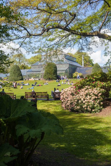 The glasshouse at the Glasgow Botanic Gardens.