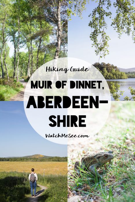 Castles are not the only attraction along the Castle Trail in Aberdeenshire. The Royal Deeside is a lush green paradise, and you will find several easy and family-friendly hikes around the Muir of Dinnet Nature Reserve. In this post you'll find out how to hike the Loch Kinord loop trail!