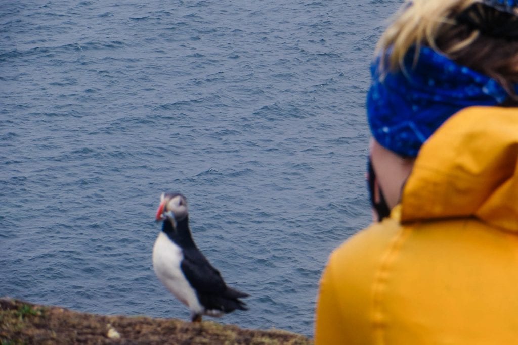 An tour to see puffins in Scotland and the Isle of Staffa had always been on my bucket list. The Staffa & Treshnish Isles Wildlife tour was perfect for me!