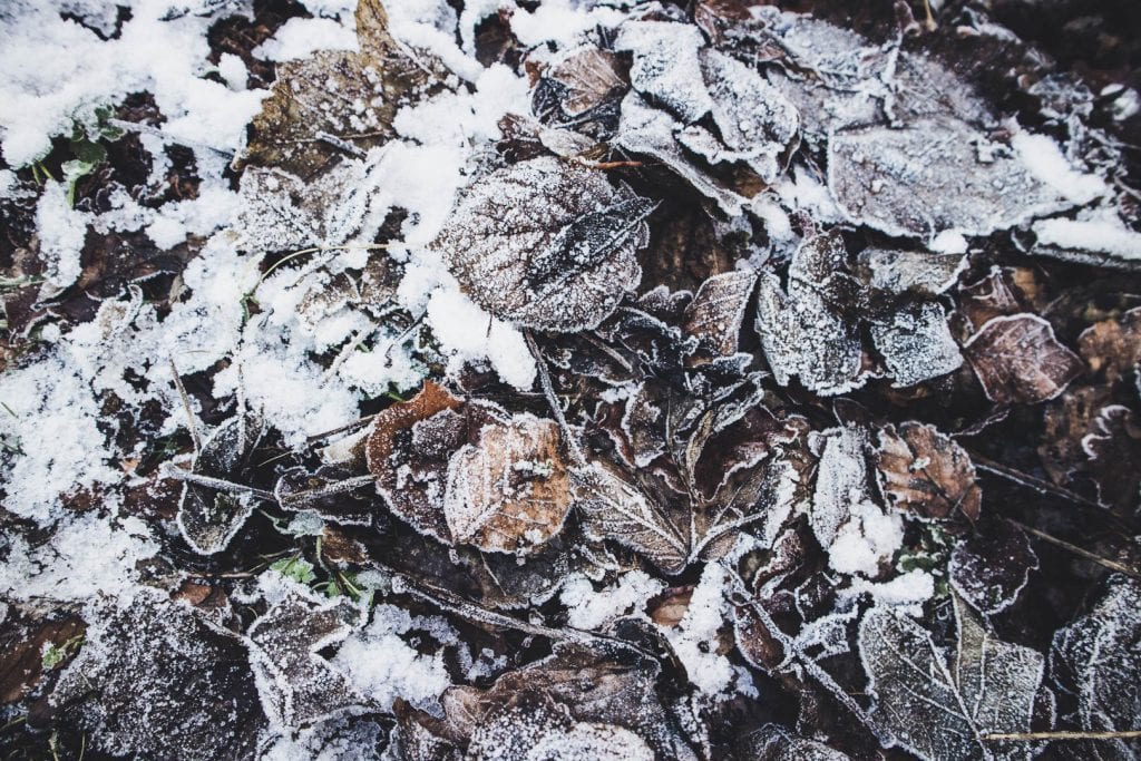 Easy Glasgow Walks: Beautiful Parks in Glasgow in Winter | Watch Me See | Winter is a great time to visit Glasgow and explore some of its easy walks around the city - and there are plenty of them. This is a guide to some of my favourite Glasgow walks in parks across the city - parks that turn into picture-perfect winter-wonderlands in the snow and make for ideal lunch-time getaways!