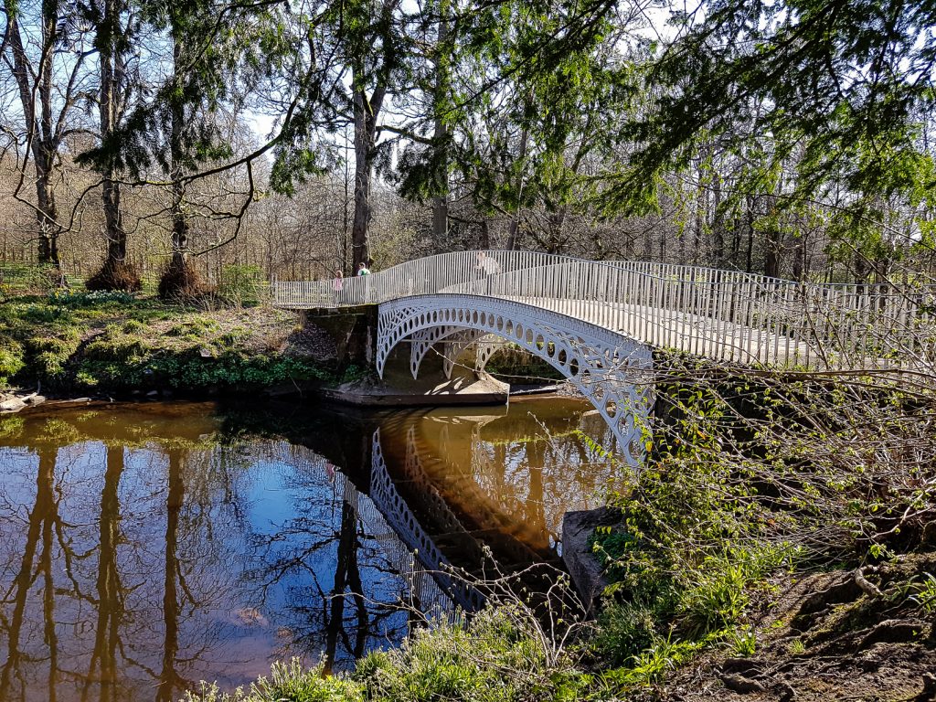 Linn park in Glasgow