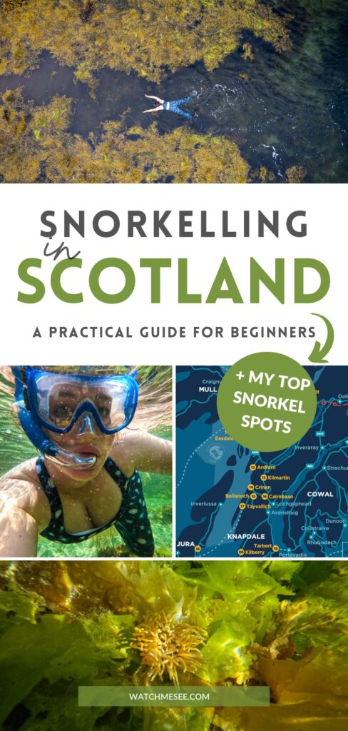 Want to get a first-hand glimpse of Scotland's dazzling underwater world? Here is everything you need to know about snorkelling in Scotland!