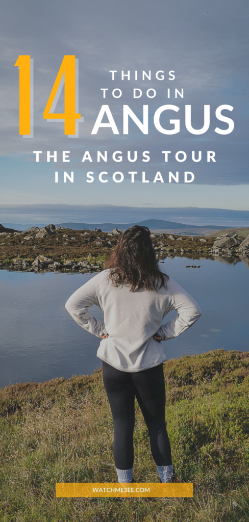 From dramatic coasts to dreamy castles and stunning glens, here are some of my favourite things to do in Angus along the Angus Tour route.