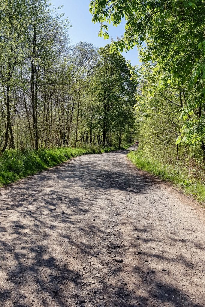 A road along the West Island Way on the Isle of Bute.