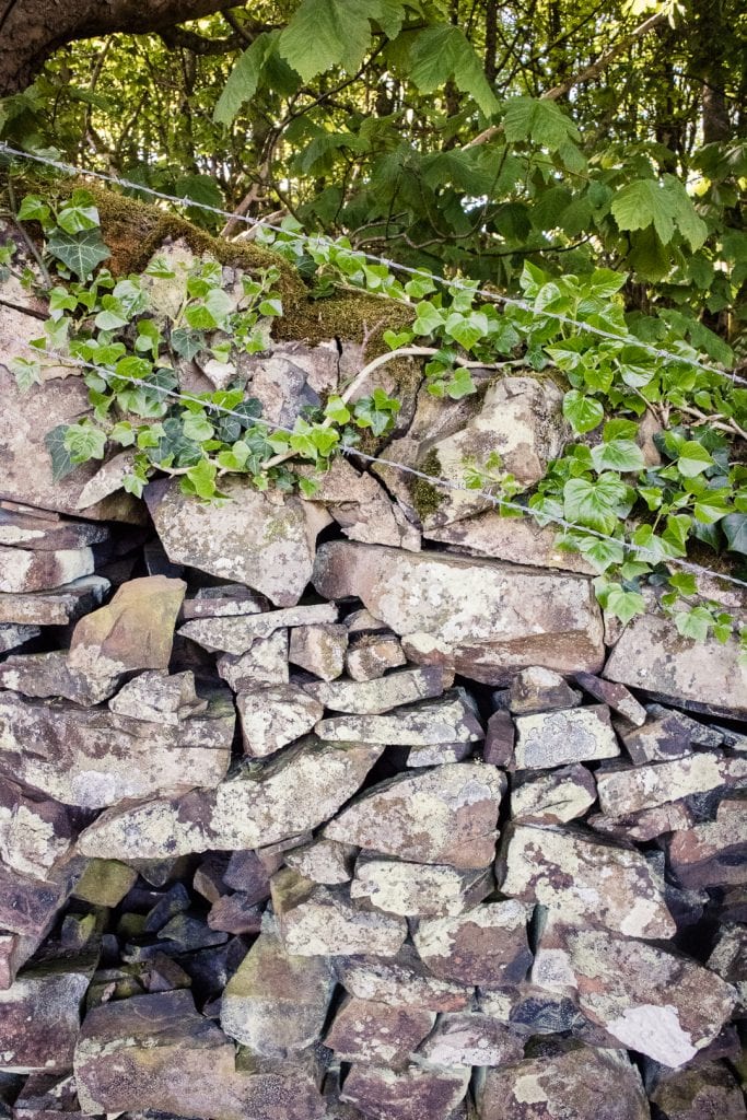 A stone wall by Kilchattan Bay on the West Island Way.