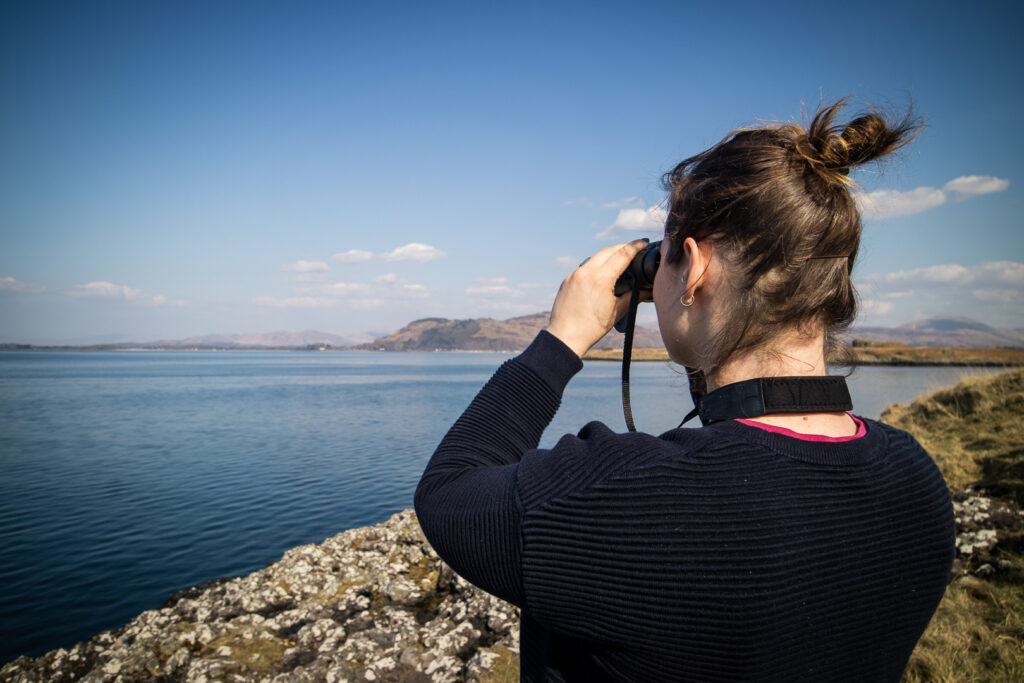 Observing the sea for signs of wildlife is a free scientific tourism activity in Scotland