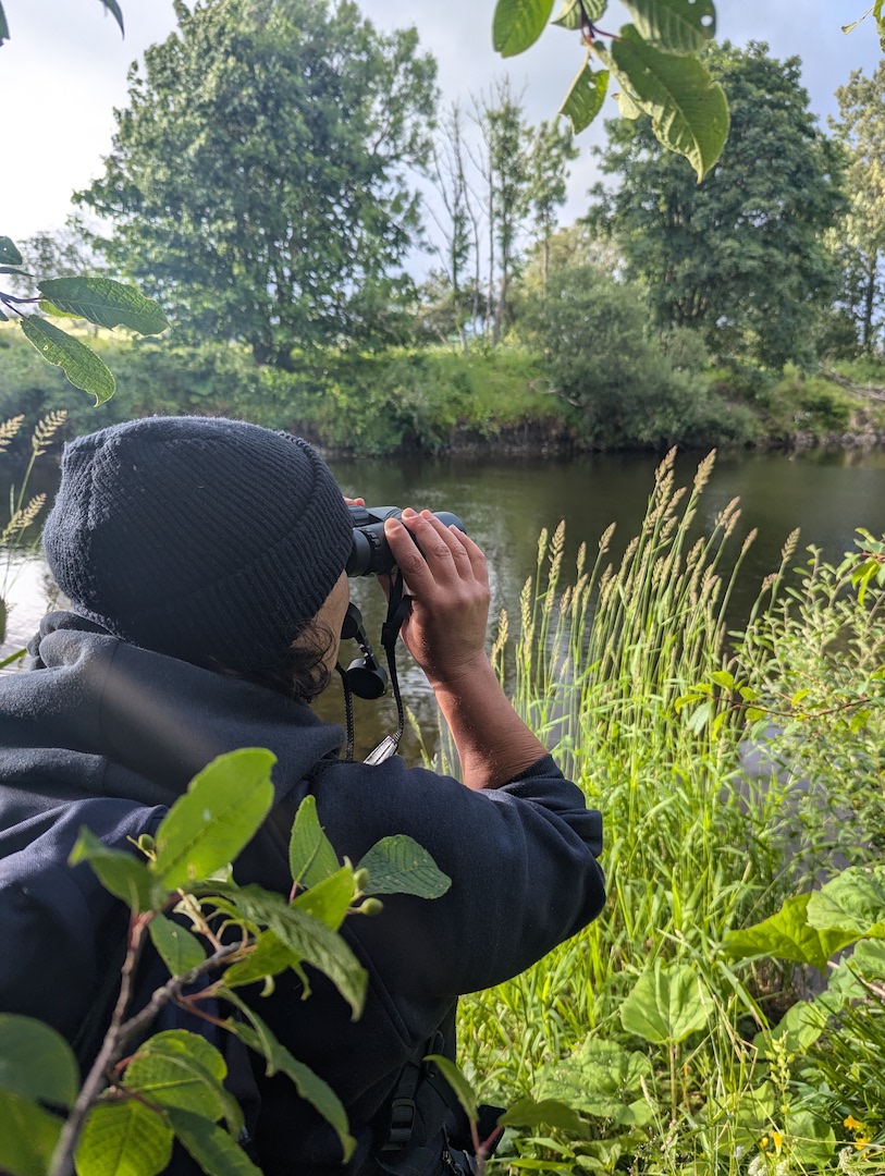 Where to see Beavers in Scotland - Watch Me See