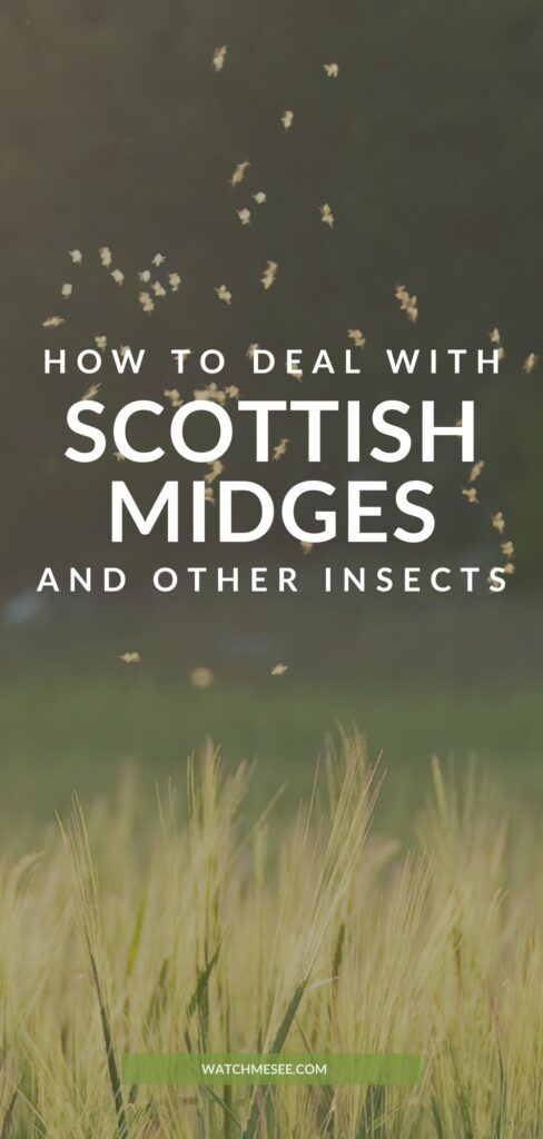 Everything you need to know about Scottish midges, clegs and ticks - how to repel them and how to deal with their bites!