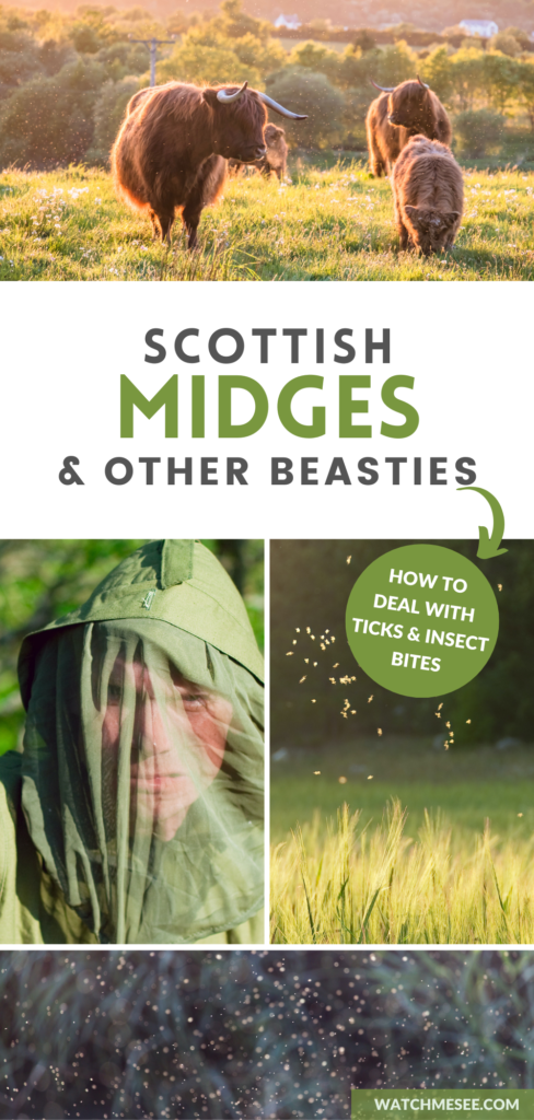 Everything you need to know about Scottish midges, clegs and ticks - how to repel them and how to deal with their bites!