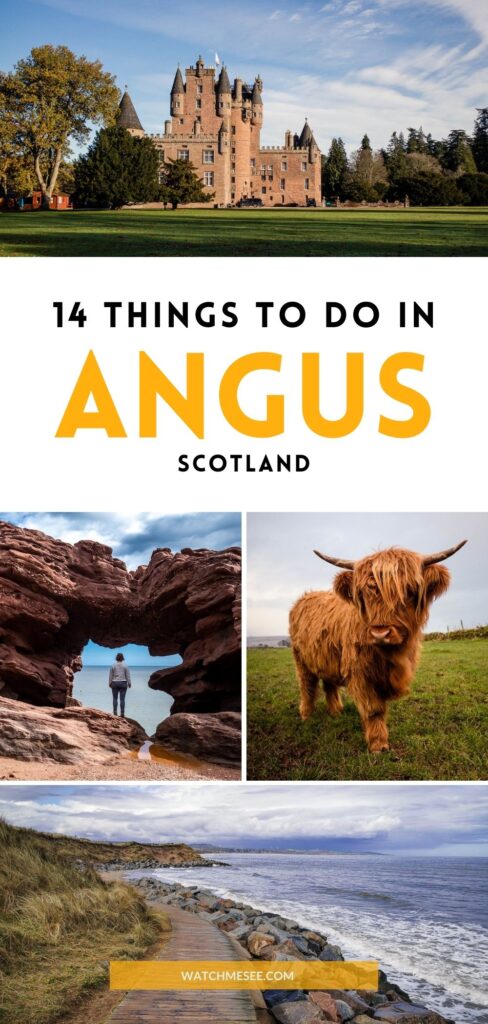 From dramatic coasts to dreamy castles and stunning glens, here are some of my favourite things to do in Angus along the Angus Tour route.