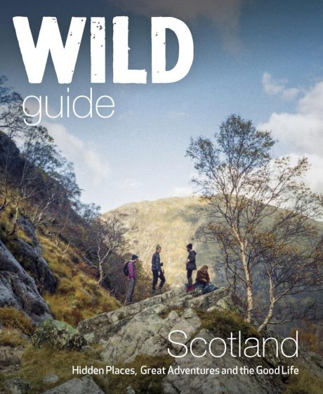 book cover of Wild Scotland by Kimberley Grant